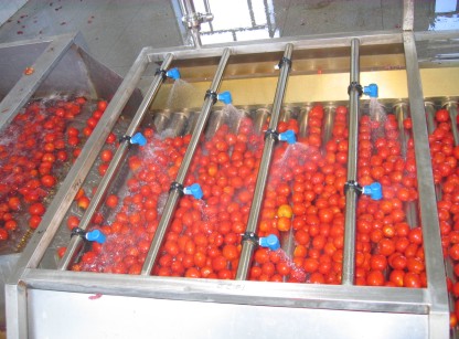 水果加工的產品有哪些？